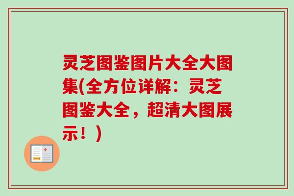 灵芝图鉴图片大全大图集(全方位详解:灵芝图鉴大全,超清大图展示!) 灵芝图鉴图片大全大图集(全方位详解:灵芝图鉴大全,超清大图展示!)