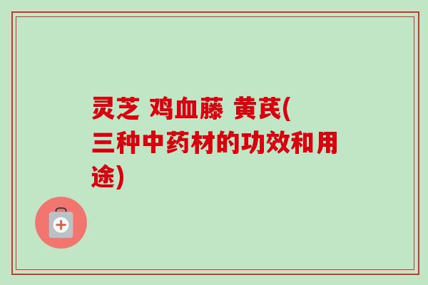 灵芝 鸡血藤 黄芪(三种中药材的功效和用途)