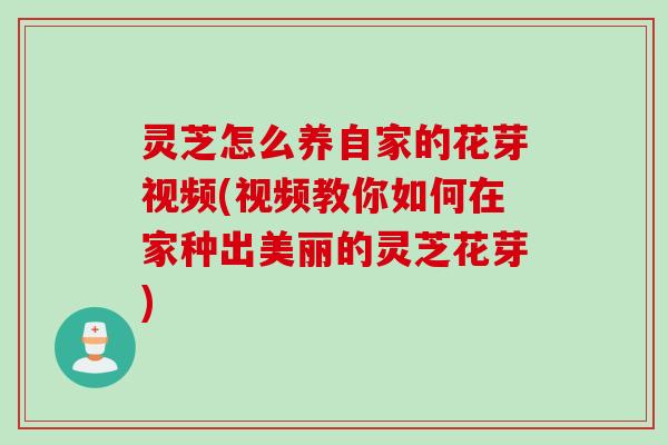 灵芝怎么养自家的花芽视频(视频教你如何在家种出美丽的灵芝花芽)