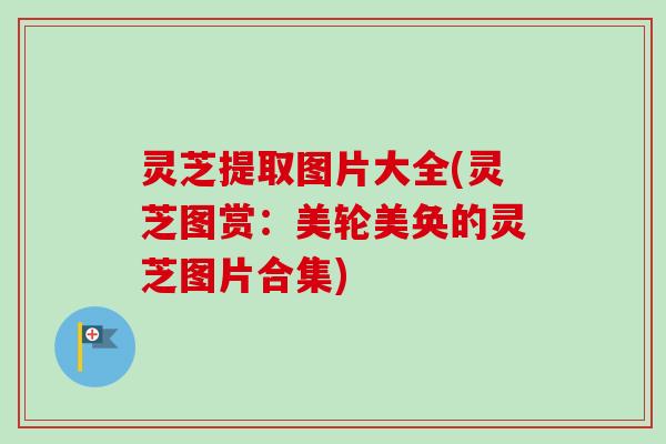 灵芝提取图片大全(灵芝图赏：美轮美奂的灵芝图片合集)