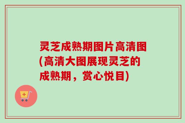 灵芝成熟期图片高清图(高清大图展现灵芝的成熟期，赏心悦目)