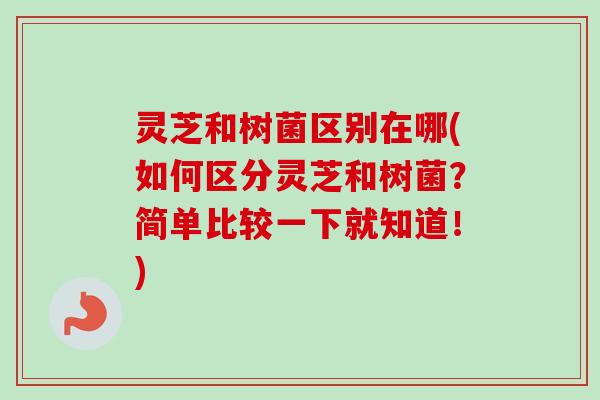 灵芝和树菌区别在哪(如何区分灵芝和树菌？简单比较一下就知道！)