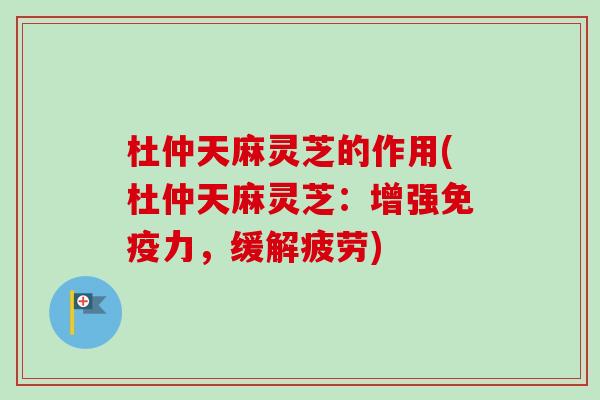 杜仲天麻灵芝的作用(杜仲天麻灵芝：增强免疫力，缓解疲劳)