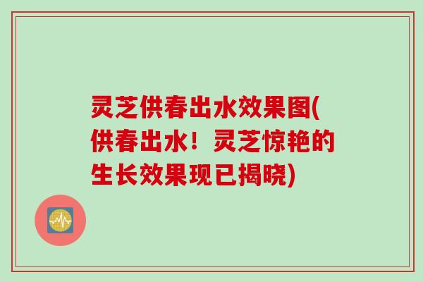 灵芝供春出水效果图(供春出水！灵芝惊艳的生长效果现已揭晓)