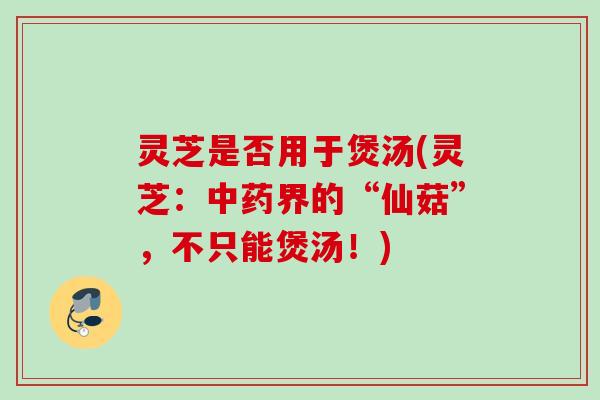 灵芝是否用于煲汤(灵芝：中药界的“仙菇”，不只能煲汤！)