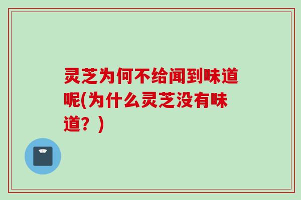 灵芝为何不给闻到味道呢(为什么灵芝没有味道？)