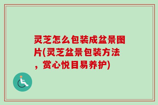 灵芝怎么包装成盆景图片(灵芝盆景包装方法，赏心悦目易养护)