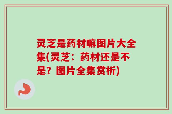 灵芝是药材嘛图片大全集(灵芝：药材还是不是？图片全集赏析)