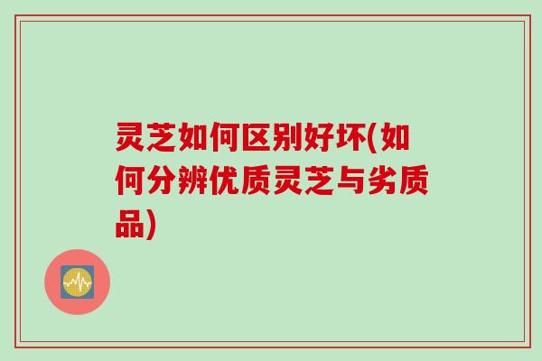 灵芝如何区别好坏(如何分辨优质灵芝与劣质品)