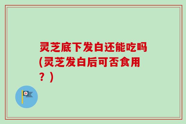 灵芝底下发白还能吃吗(灵芝发白后可否食用？)