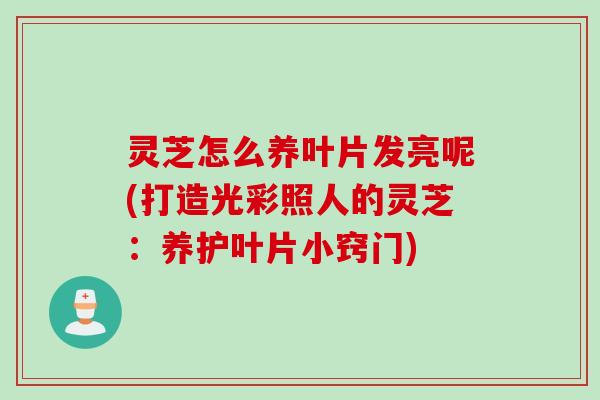 灵芝怎么养叶片发亮呢(打造光彩照人的灵芝:养护叶片小窍门) 灵芝怎么养叶片发亮呢(打造光彩照人的灵芝:养护叶片小窍门)