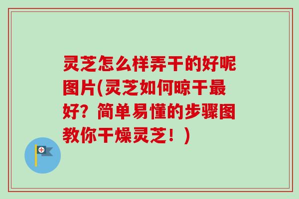 灵芝怎么样弄干的好呢图片(灵芝如何晾干好?简单易懂的步骤图教你干燥灵芝!) 灵芝怎么样弄干的好呢图片(灵芝如何晾干好?简单易懂的步骤图教你干燥灵芝!)