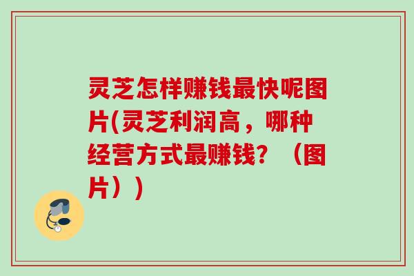 灵芝怎样赚钱快呢图片(灵芝利润高，哪种经营方式赚钱？（图片）)