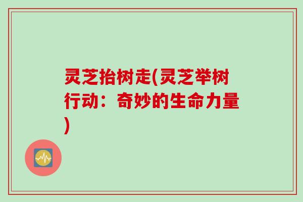 灵芝抬树走(灵芝举树行动：奇妙的生命力量)