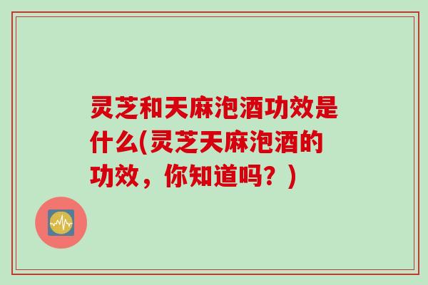 灵芝和天麻泡酒功效是什么(灵芝天麻泡酒的功效，你知道吗？)