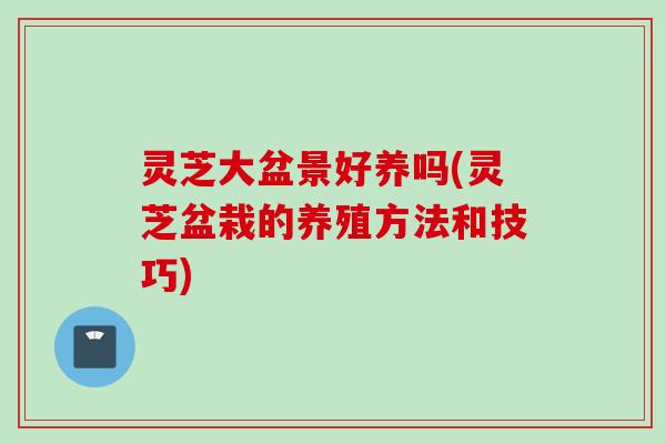 灵芝大盆景好养吗(灵芝盆栽的养殖方法和技巧)