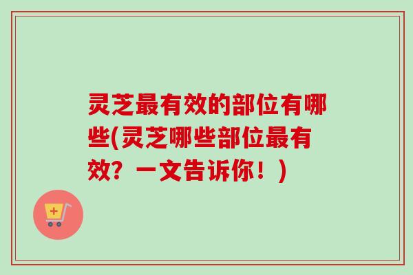 灵芝最有效的部位有哪些(灵芝哪些部位最有效？一文告诉你！)