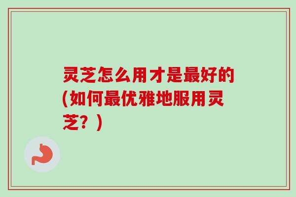 灵芝怎么用才是最好的(如何最优雅地服用灵芝？)