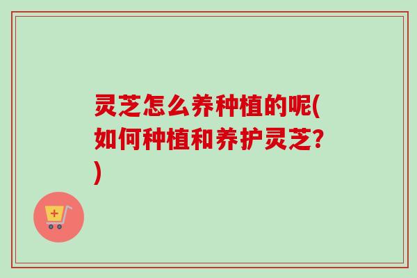 灵芝怎么养种植的呢(如何种植和养护灵芝？)