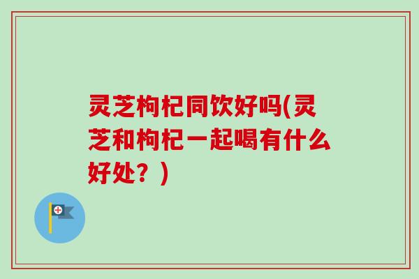 灵芝枸杞同饮好吗(灵芝和枸杞一起喝有什么好处？)