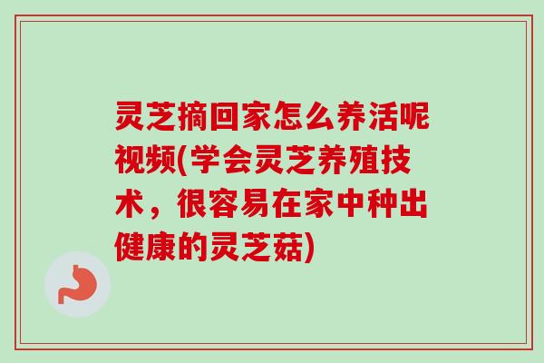灵芝摘回家怎么养活呢视频(学会灵芝养殖技术，很容易在家中种出健康的灵芝菇)