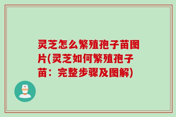 灵芝怎么繁殖孢子苗图片(灵芝如何繁殖孢子苗:完整步骤及图解) 灵芝怎么繁殖孢子苗图片(灵芝如何繁殖孢子苗:完整步骤及图解)