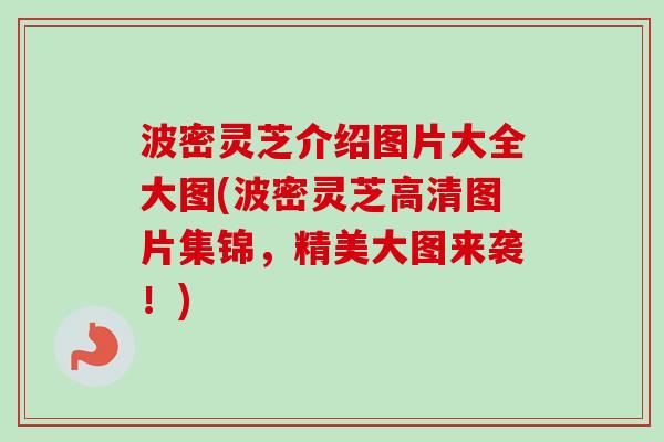 波密灵芝介绍图片大全大图(波密灵芝高清图片集锦，精美大图来袭！)
