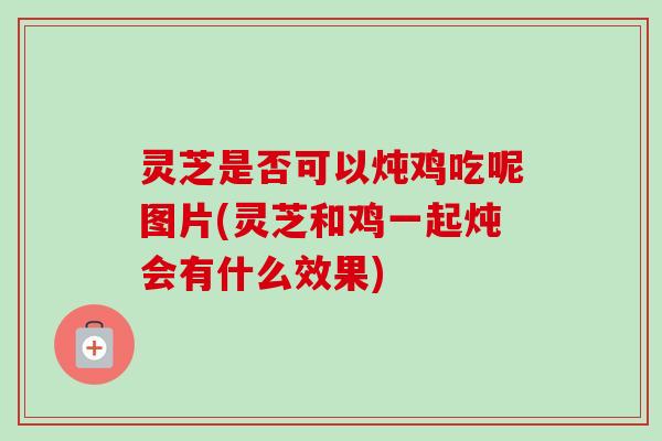 灵芝是否可以炖鸡吃呢图片(灵芝和鸡一起炖会有什么效果)