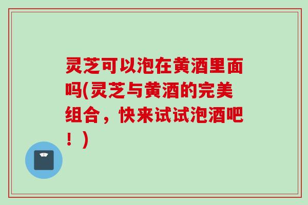 灵芝可以泡在黄酒里面吗(灵芝与黄酒的完美组合，快来试试泡酒吧！)