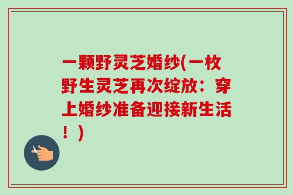 一颗野灵芝婚纱(一枚野生灵芝再次绽放：穿上婚纱准备迎接新生活！)
