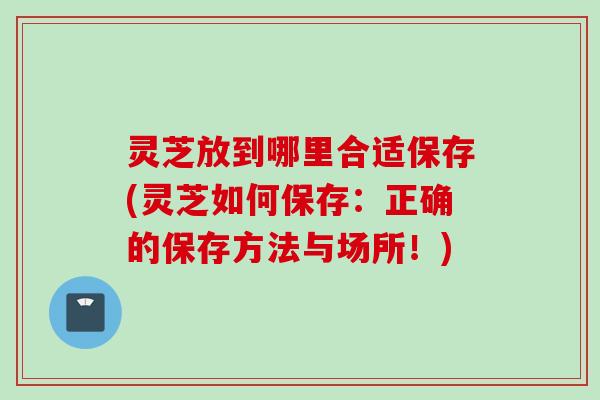 灵芝放到哪里合适保存(灵芝如何保存：正确的保存方法与场所！)