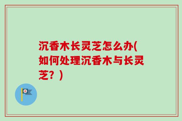 沉香木长灵芝怎么办(如何处理沉香木与长灵芝？)
