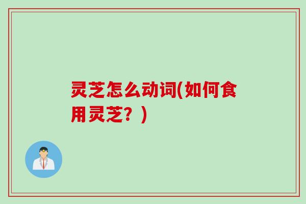 灵芝怎么动词(如何食用灵芝?) 灵芝怎么动词(如何食用灵芝?)