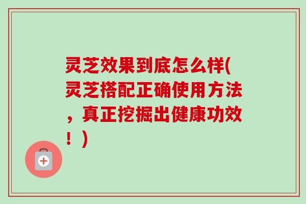 灵芝效果到底怎么样(灵芝搭配正确使用方法，真正挖掘出健康功效！)
