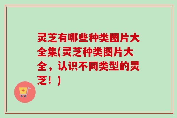 灵芝有哪些种类图片大全集(灵芝种类图片大全，认识不同类型的灵芝！)