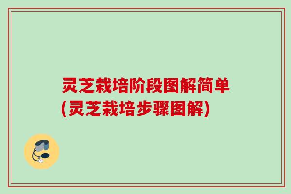 灵芝栽培阶段图解简单(灵芝栽培步骤图解) 灵芝栽培阶段图解简单(灵芝栽培步骤图解)