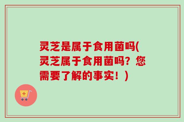 灵芝是属于食用菌吗(灵芝属于食用菌吗？您需要了解的事实！)