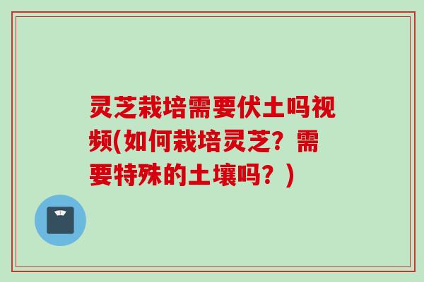 灵芝栽培需要伏土吗视频(如何栽培灵芝？需要特殊的土壤吗？)