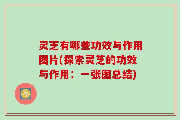 灵芝有哪些功效与作用图片(探索灵芝的功效与作用：一张图总结)