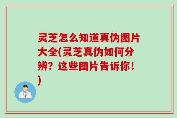 灵芝怎么知道真伪图片大全(灵芝真伪如何分辨？这些图片告诉你！)