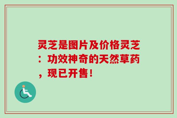 灵芝是图片及价格灵芝：功效神奇的天然草药，现已开售！