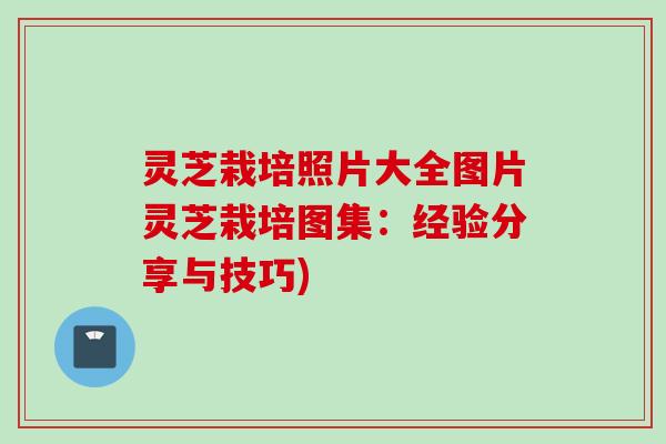 灵芝栽培照片大全图片灵芝栽培图集:经验分享与技巧) 灵芝栽培照片大全图片灵芝栽培图集:经验分享与技巧)