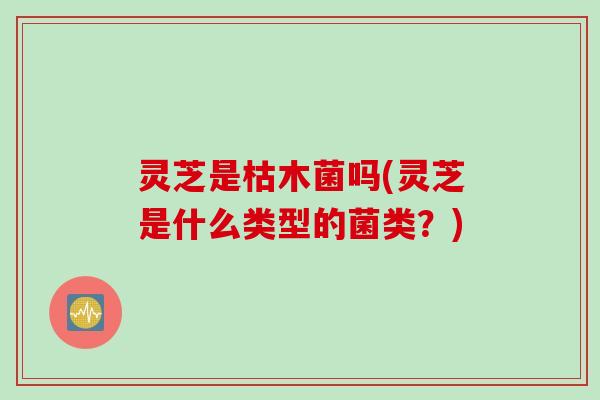 灵芝是枯木菌吗(灵芝是什么类型的菌类？)