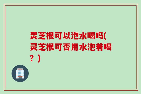 灵芝根可以泡水喝吗(灵芝根可否用水泡着喝？)