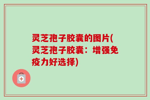 灵芝孢子胶囊的图片(灵芝孢子胶囊：增强免疫力好选择)