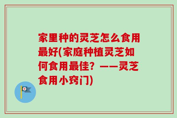 家里种的灵芝怎么食用最好(家庭种植灵芝如何食用最佳？——灵芝食用小窍门)