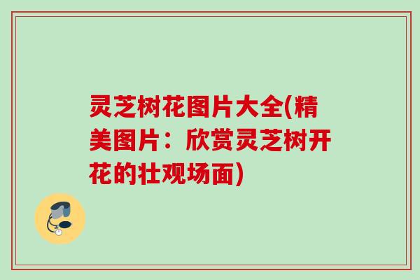 灵芝树花图片大全(精美图片：欣赏灵芝树开花的壮观场面)