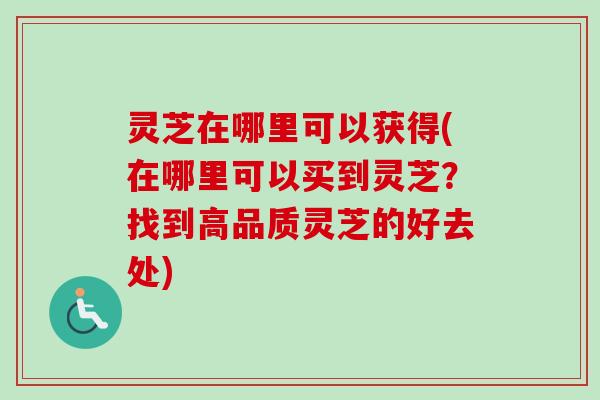 灵芝在哪里可以获得(在哪里可以买到灵芝？找到高品质灵芝的好去处)