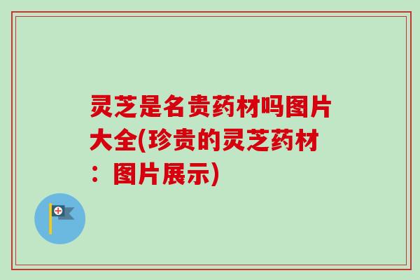 灵芝是名贵药材吗图片大全(珍贵的灵芝药材：图片展示)