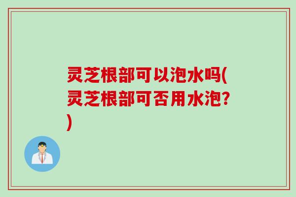 灵芝根部可以泡水吗(灵芝根部可否用水泡？)